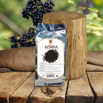 Бузина черная Sambucus nigra, плоды