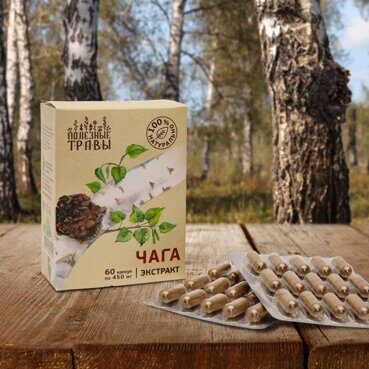 Чага, растительный экстракт Чага, растительный экстракт