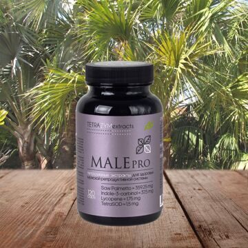 Тетразимные экстракты MALEpro - Для мужского здоровья