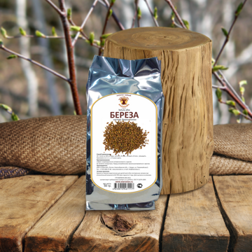 Береза Betula alba, почки