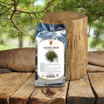 Сосна обыкновенная Pintrs sylvestris, хвоя