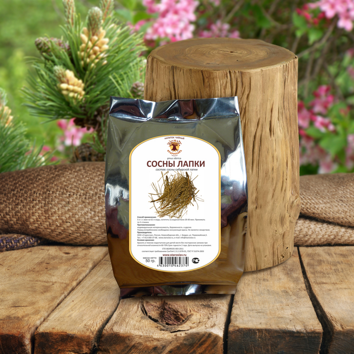 Сосна обыкновенная  Pintrs sylvestris, лапки
