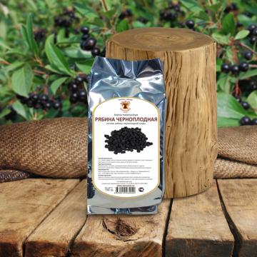 Рябина черноплодная Aronia melanokarpa, плоды