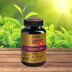Капсулы молодости HERBS COLLAGENOL CEREBRUM+ Здоровая работа мозга